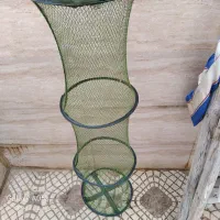 طوری زنده نگهدار ،پلاک ،چراغ قوه