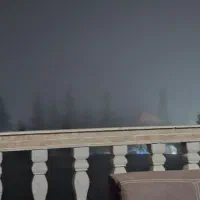 زمین-جنگلی