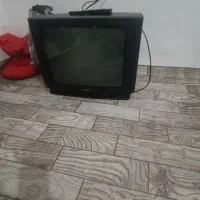تلویزیون