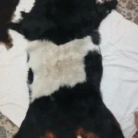 پوست