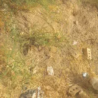 زمین ۱۲۵ متری باغسنگان سفلی معاوضه با ماشین