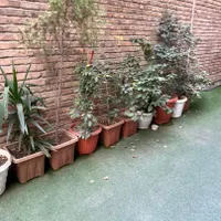 مسکونی|فروش آپارتمان|تهران, فردوسی|دیوار