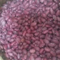 لوبیا قرمز روستای مورانی