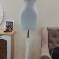 مانکن سوزن خور
