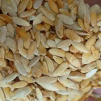بذر دیمی طالبی (کالک)روشه اصل