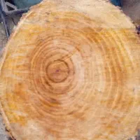 زیر دستی برا گوشت و غیره