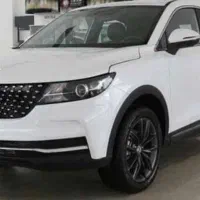 دیگنیتی سفید