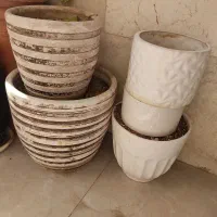 ۶عددگلدان درحدنوهمراه باخاک