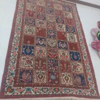 فرش|فرش|شهرکرد, |دیوار