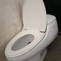 توالت فرنگی