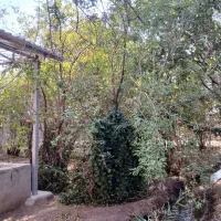 باغ با جوی آب دائم