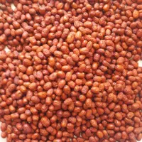 عناب تازه