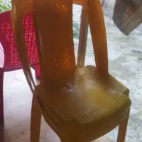 خرد ریز  منزل