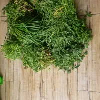 نیاز به فروشنده سبزی فرجام