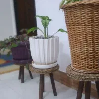 سه پایه حصیری