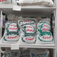 پخش و فروش مستقیم برنج شمال بدون واسطه