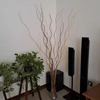 چوب دکوری