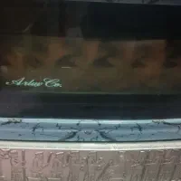 بخاری