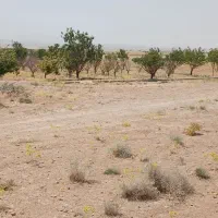 سلام خدمت دوستان عزیز فروش فوری ملک  کشاورزی