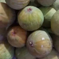 انجیر یزدی قندی شیرینتراز عسل