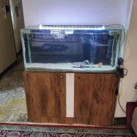اکواریوم با طول 110