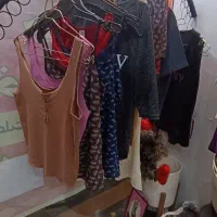 رگال C (رگال دایره ای)