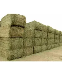 یونجه سبز و درجه یک