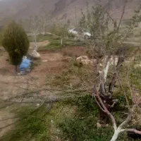 باغ-شهری-رضآباد-شول-داخل-مجموعه