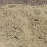 کاه عدس سبز درجه یک برای پرواربندی وگوسفند داشتی