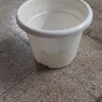گلدان