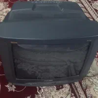 تلویزیون
