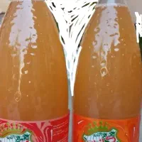 آبغوره طبیعی