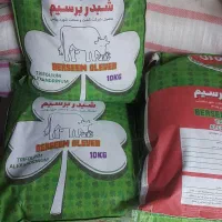 بذر شبدر