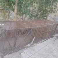 قفسه|فروشگاه و مغازه|پاکدشت, پاکدشت (مامازند)|دیوار