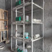 قفس جفتگاه و توری گنجه