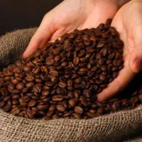 میکس قهوه ۱۰۰ربوستا فول کافئین