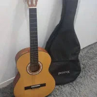 گیتار مدل parsi C7