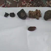 شهاب سنگ و فسیل صدف