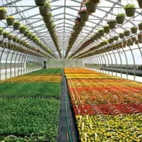فروش زمین گلخانه1000متری /براصلی/