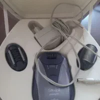 اپیلیدی