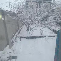 قطعه-زمین-250متری-کمربندی