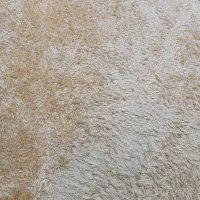 قالیچه شگی
