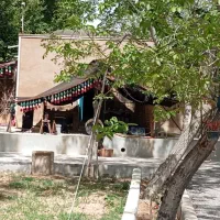 نیازمند نیروی کار خانم آشپزخانه