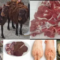 گوشت بره نرینه درجه یک، انتخاب سلامتی