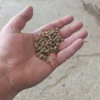 خوراک پرواری