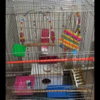 قفس پرنده
