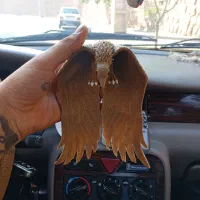 اویز قرقی