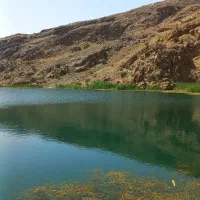 فروش-انواع-باغ-باغچه-خانه-باغ
