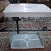 اکواریوم دلسا سفید رنگ