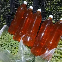 آبغوره|خوردنی و آشامیدنی|خرمآباد, |دیوار